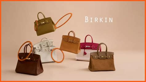 Hermes Birkin collection